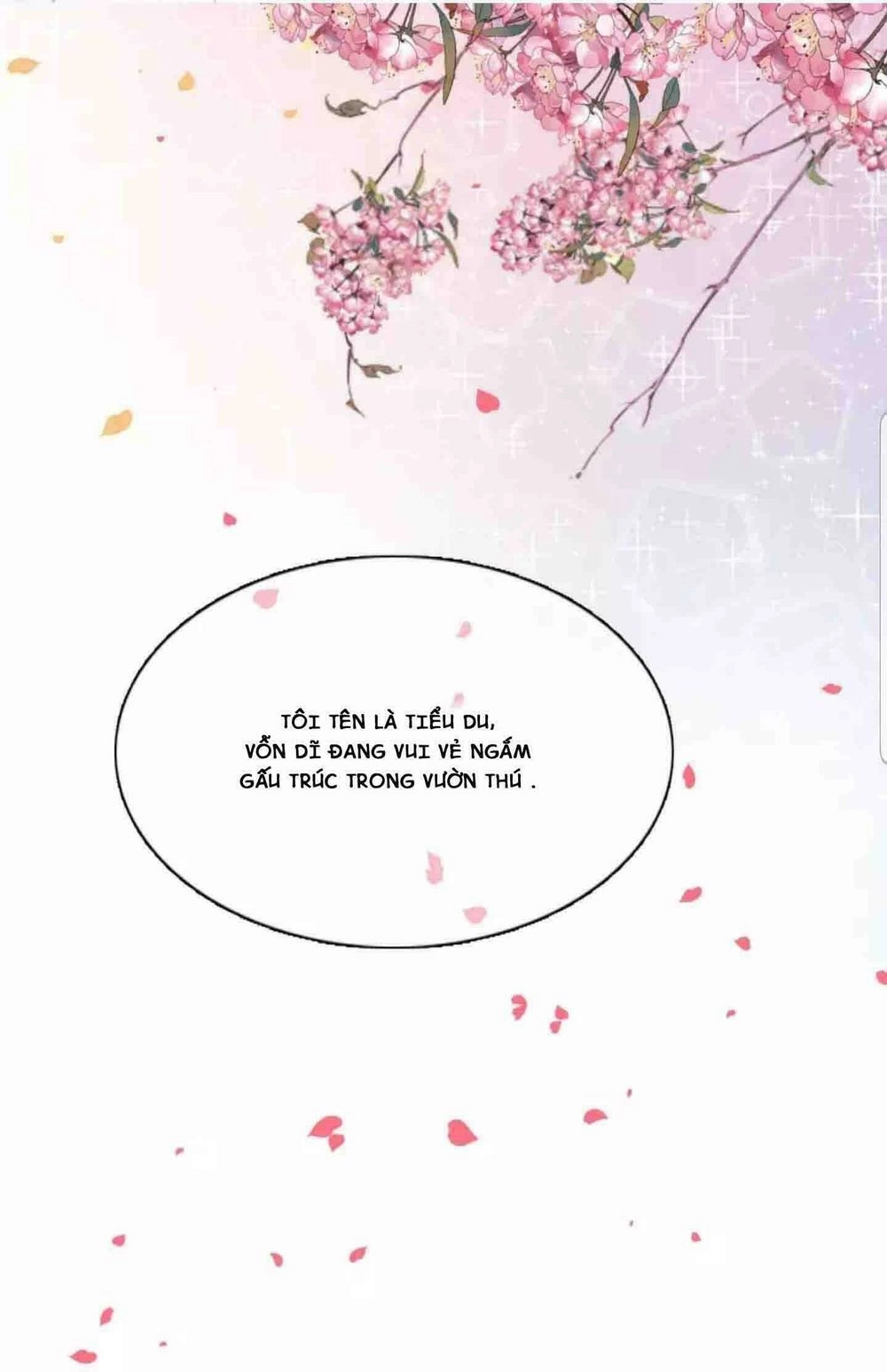 Xuyên Về Cổ Đại Làm Quốc Bảo Chapter 1 - 10