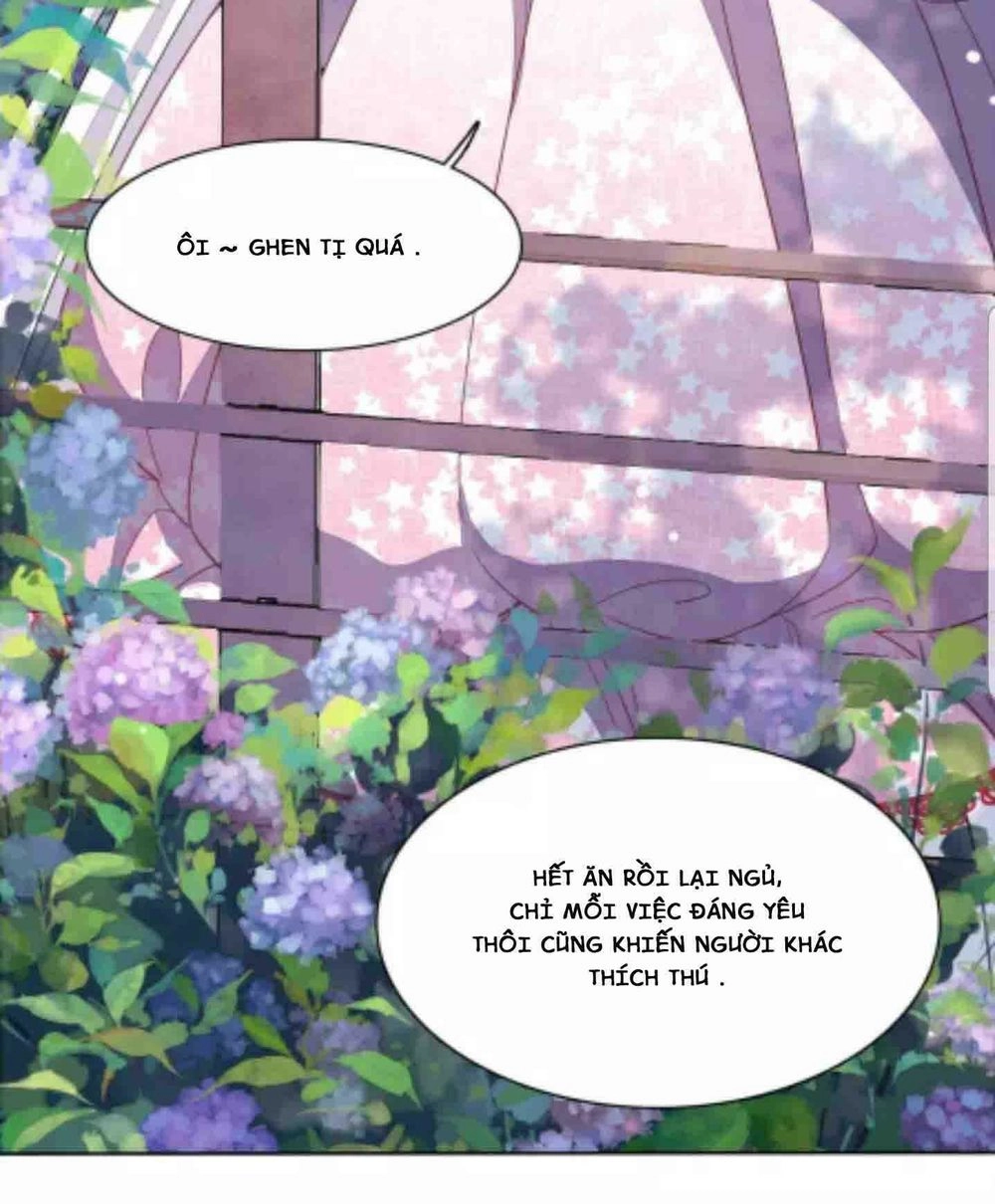 Xuyên Về Cổ Đại Làm Quốc Bảo Chapter 1 - 13