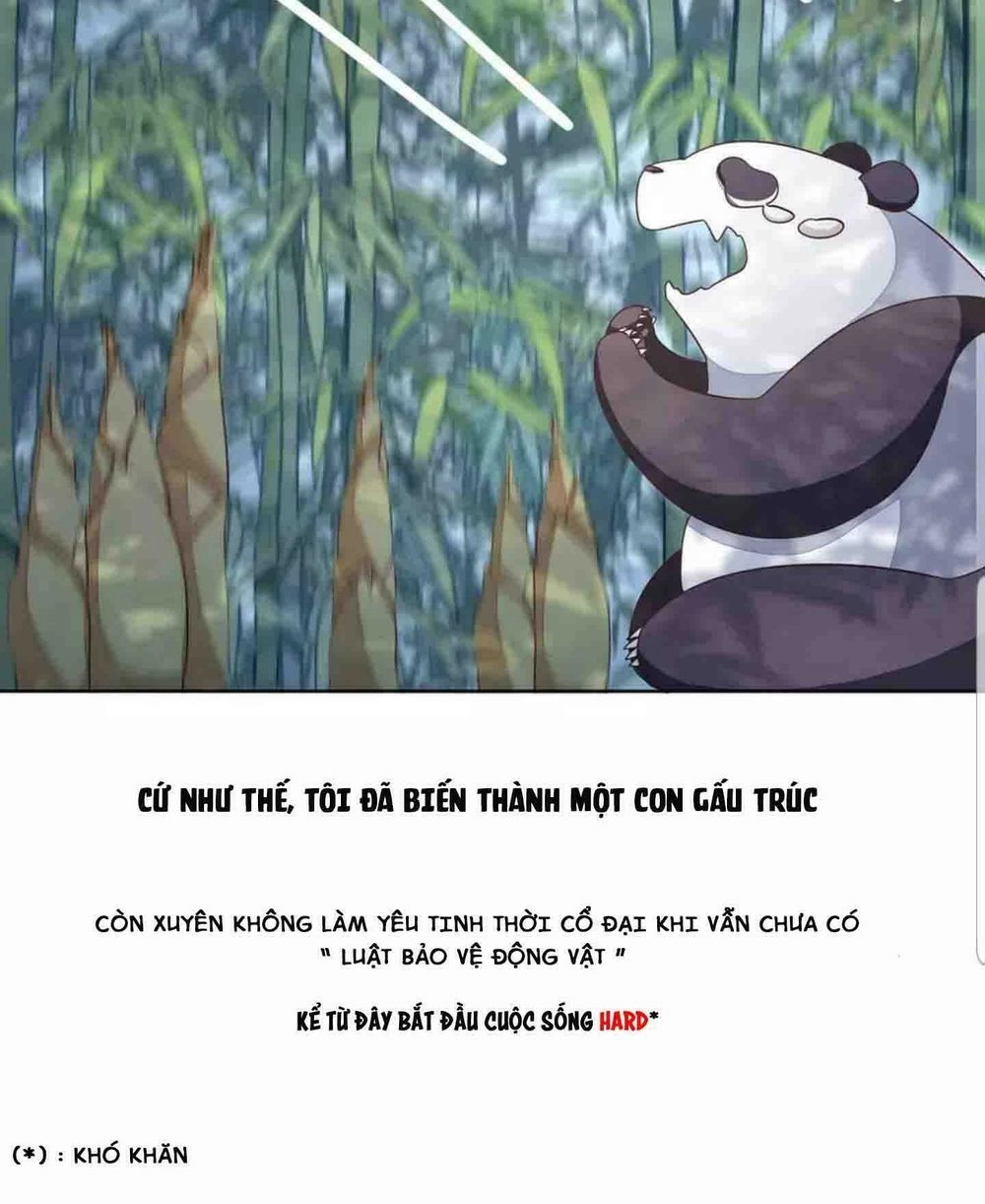 Xuyên Về Cổ Đại Làm Quốc Bảo Chapter 1 - 16