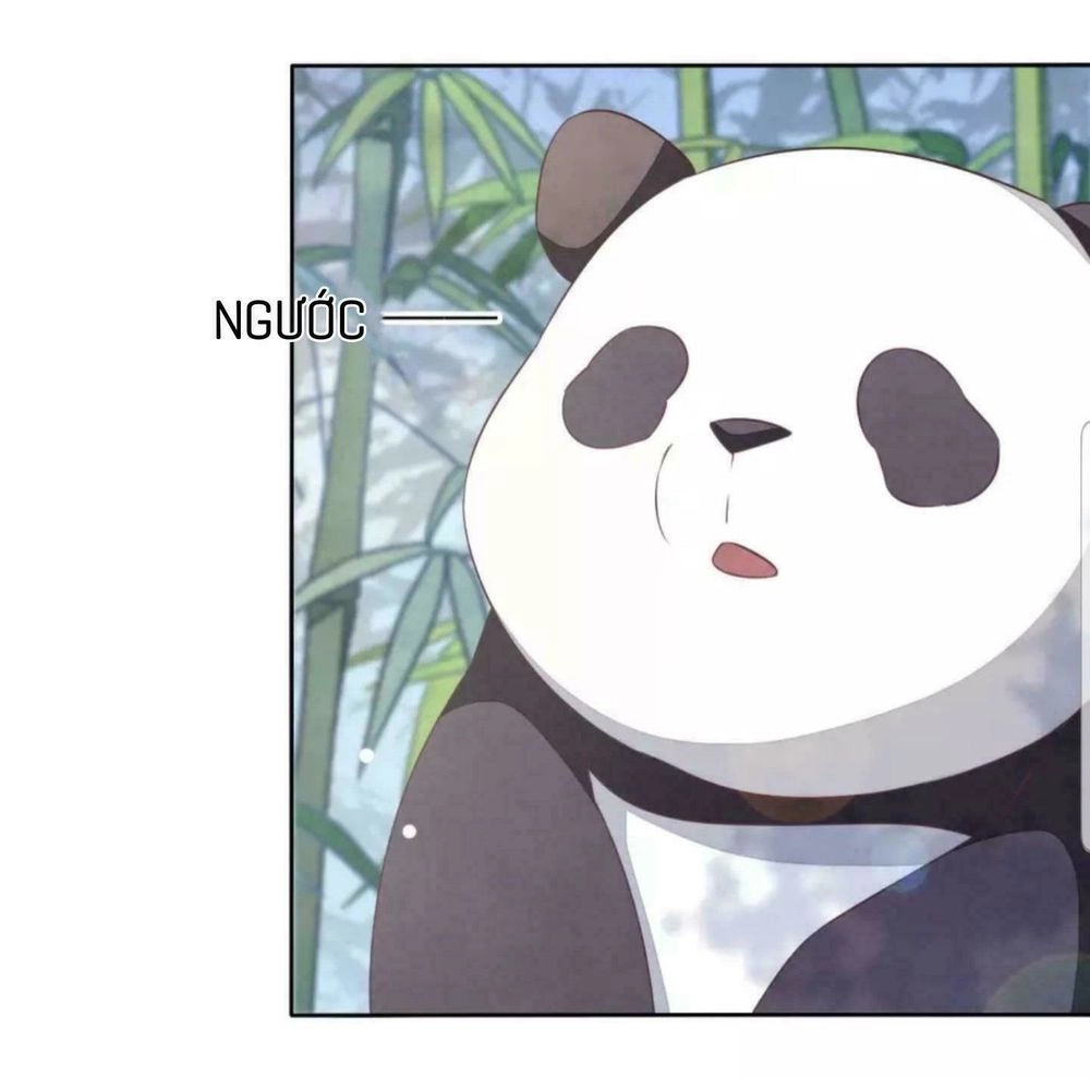 Xuyên Về Cổ Đại Làm Quốc Bảo Chapter 6 - 24