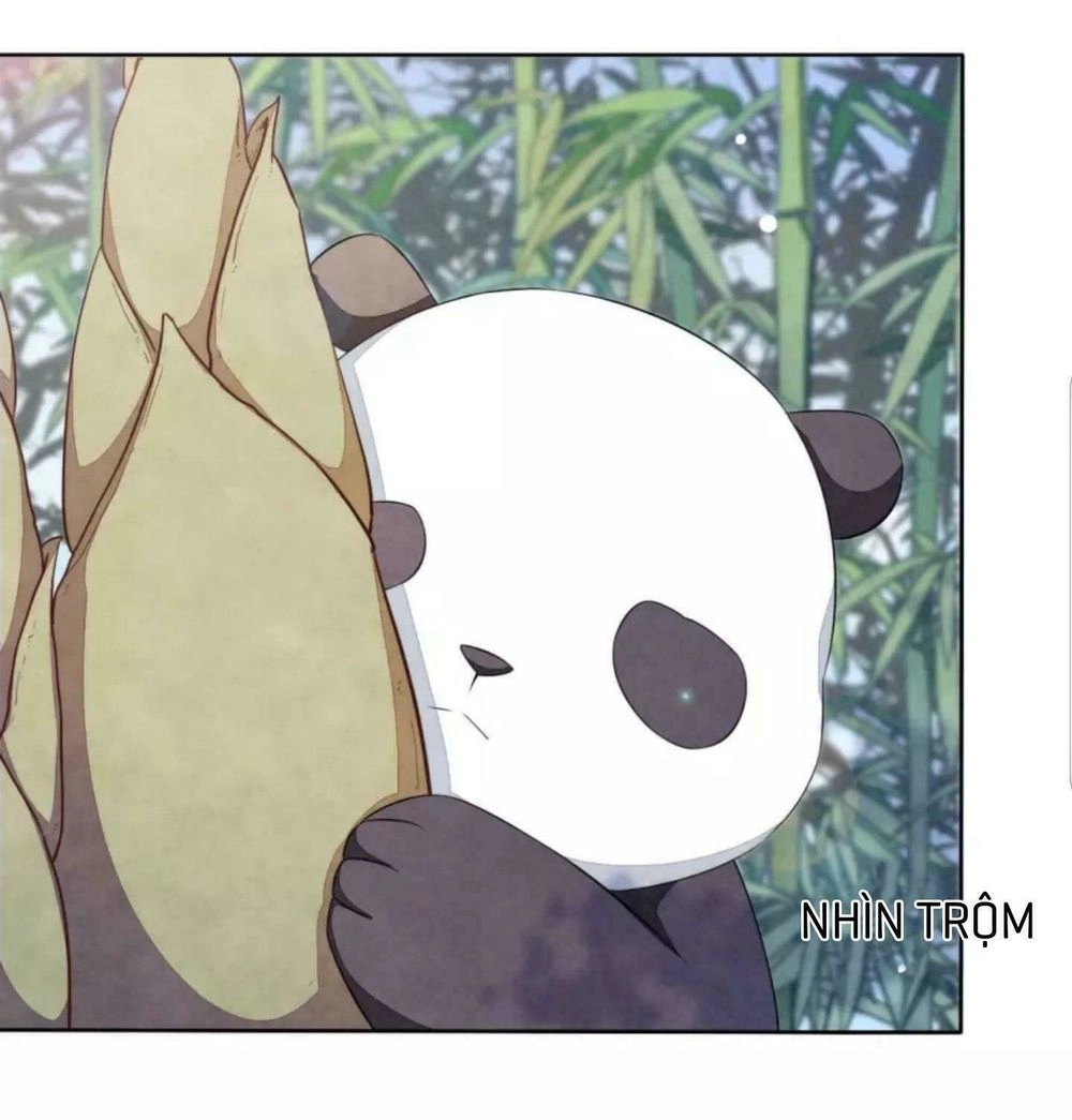 Xuyên Về Cổ Đại Làm Quốc Bảo Chapter 6 - 36