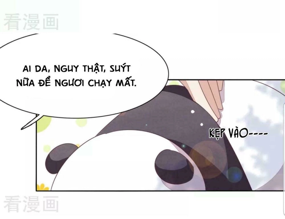 Xuyên Về Cổ Đại Làm Quốc Bảo Chapter 8 - 13