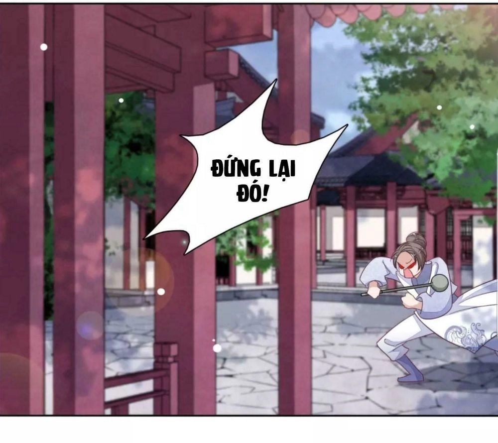 Xuyên Về Cổ Đại Làm Quốc Bảo Chapter 16 - 29