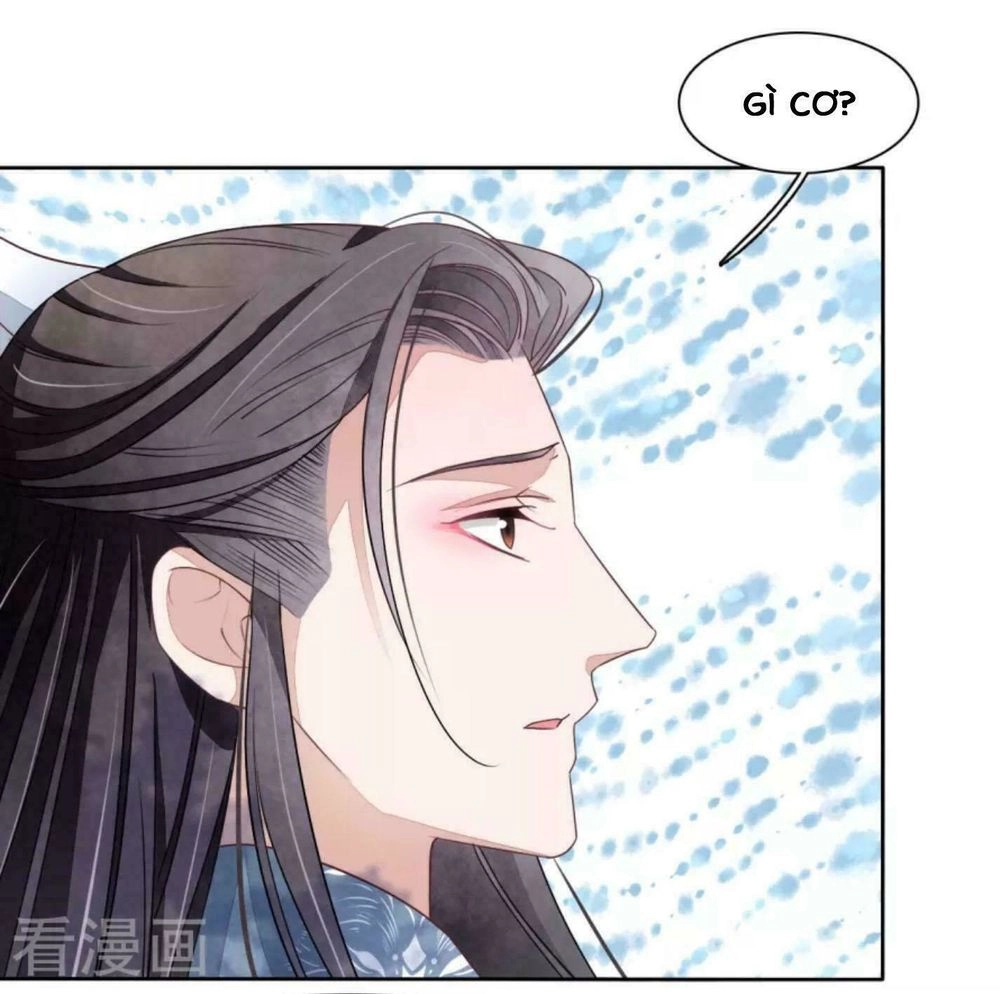 Xuyên Về Cổ Đại Làm Quốc Bảo Chapter 23 - 14