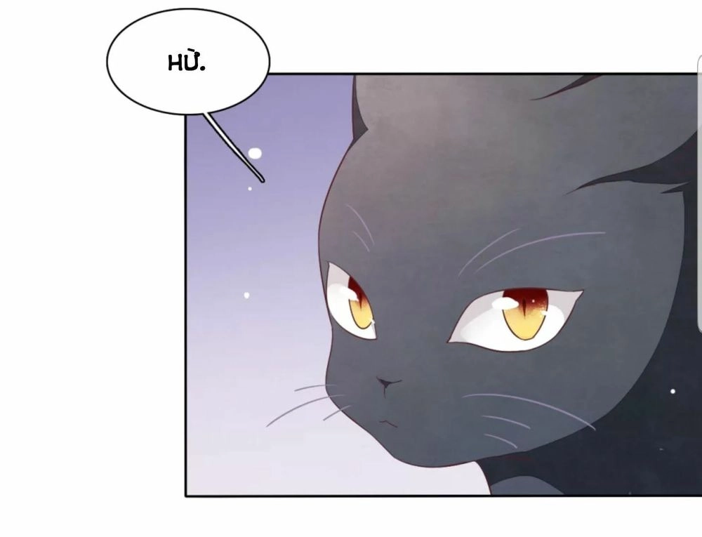 Xuyên Về Cổ Đại Làm Quốc Bảo Chapter 30 - 15