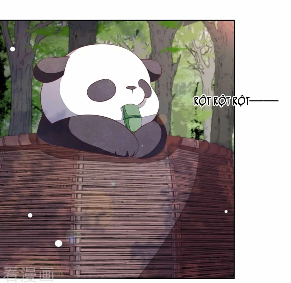 Xuyên Về Cổ Đại Làm Quốc Bảo Chapter 30 - 21