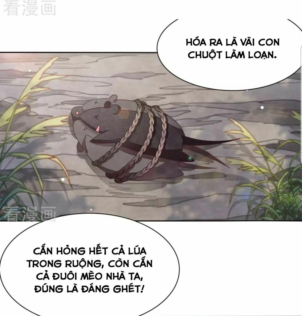 Xuyên Về Cổ Đại Làm Quốc Bảo Chapter 31 - 12