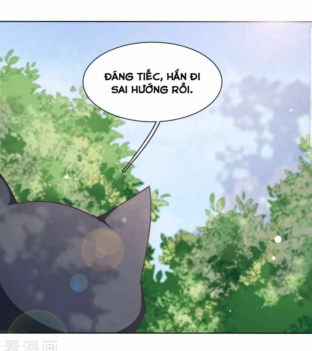 Xuyên Về Cổ Đại Làm Quốc Bảo Chapter 32 - 22