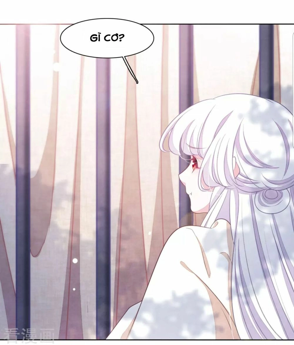 Xuyên Về Cổ Đại Làm Quốc Bảo Chapter 33 - 17