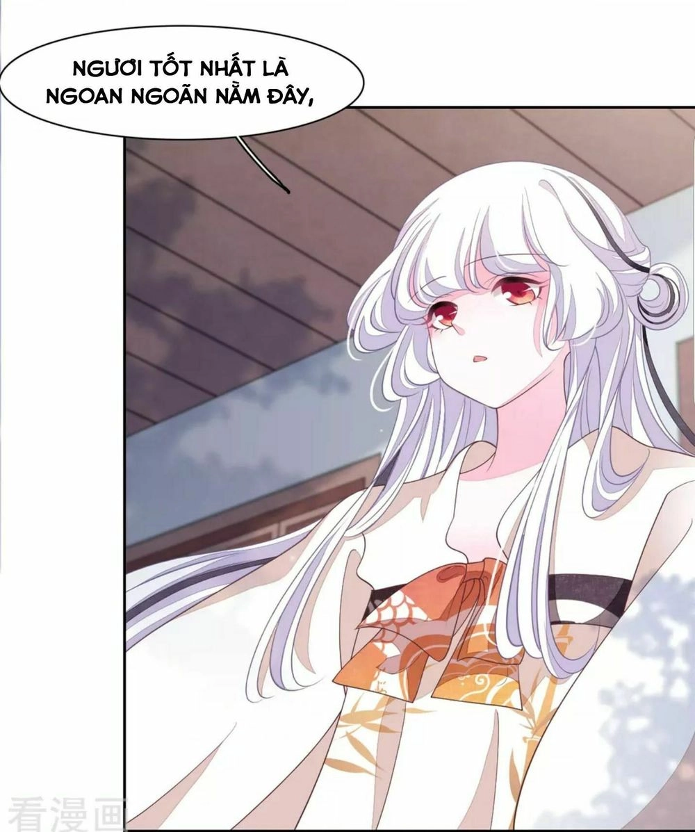 Xuyên Về Cổ Đại Làm Quốc Bảo Chapter 44 - 16