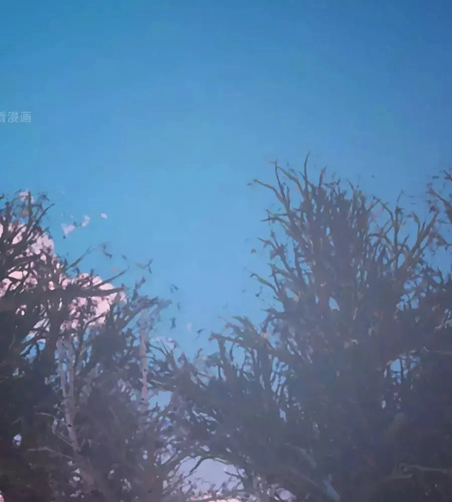 Anh Ấy Đến Từ Địa Ngục Chapter 31 - 80