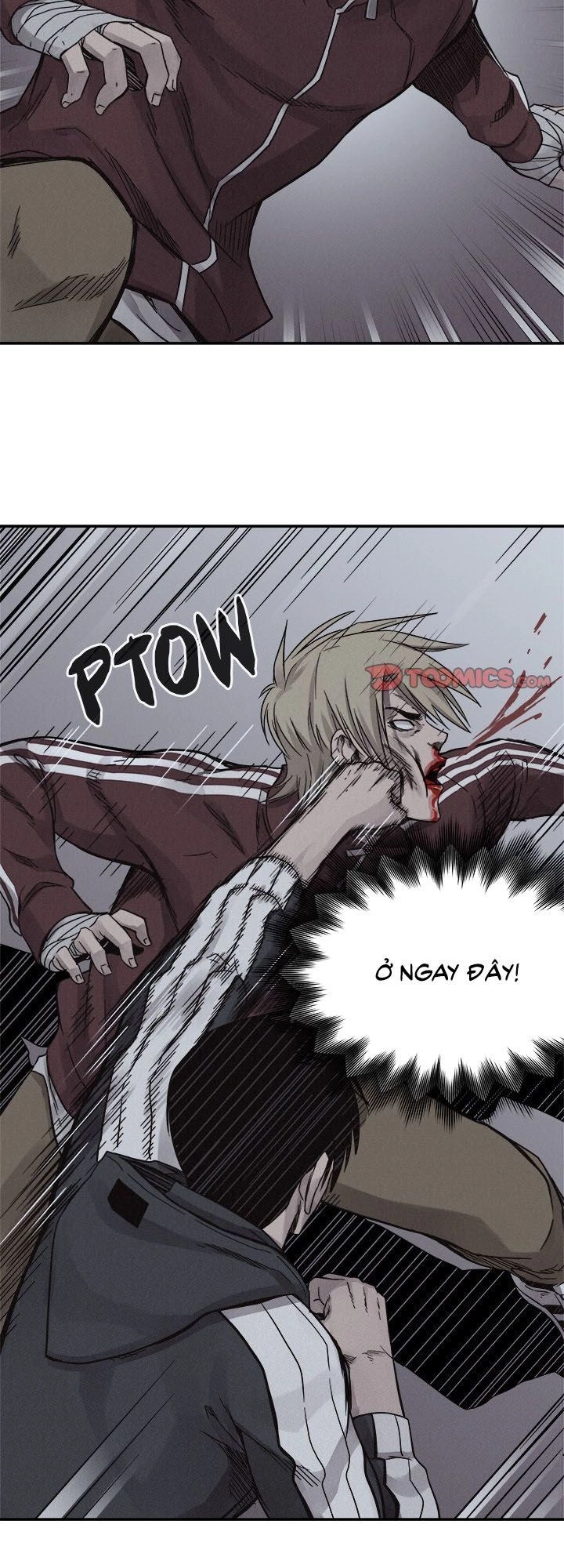 Nắm Đấm Chapter 76 - 18