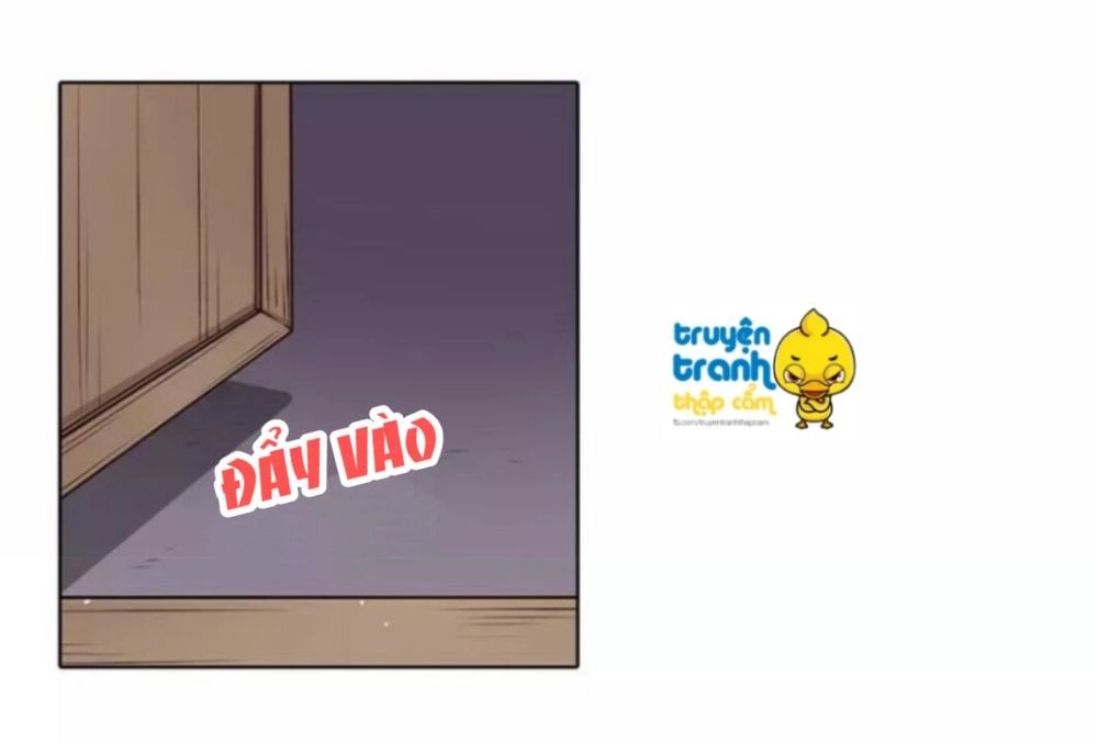 Mỹ Nhân Già Rồi Chapter 16 - 49