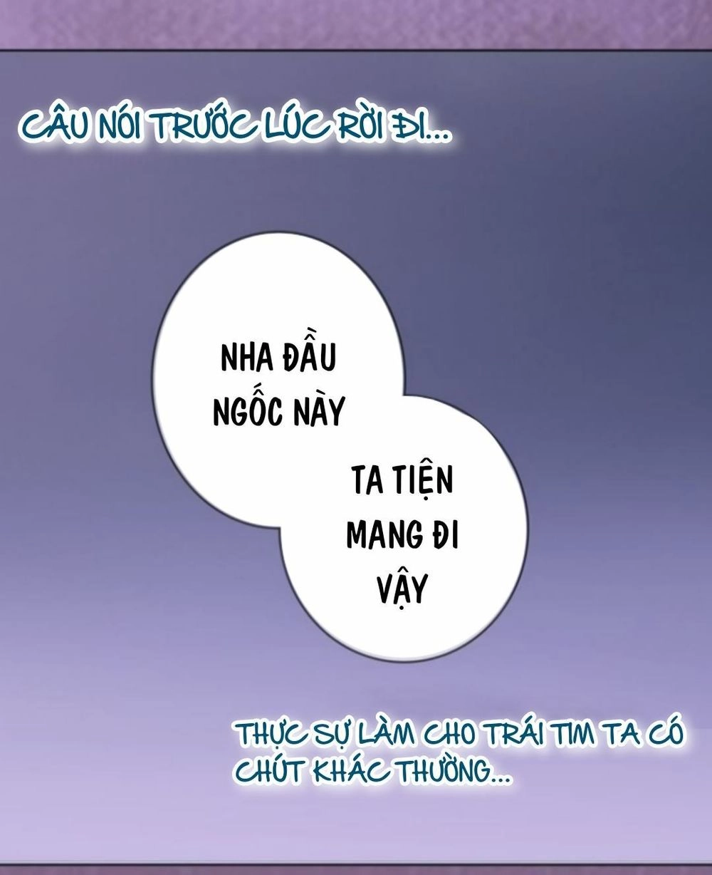 Mỹ Nhân Già Rồi Chapter 19 - 36