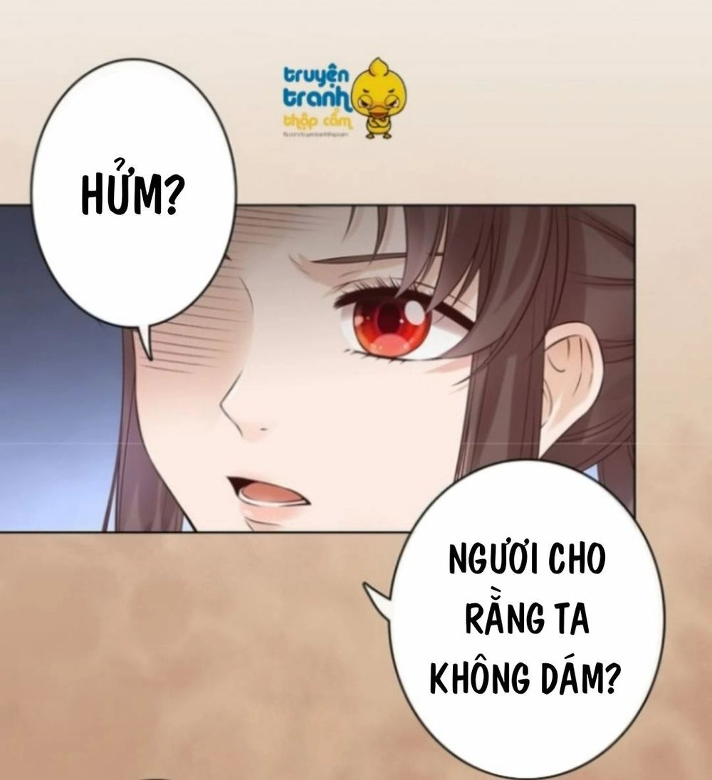 Mỹ Nhân Già Rồi Chapter 20 - 12