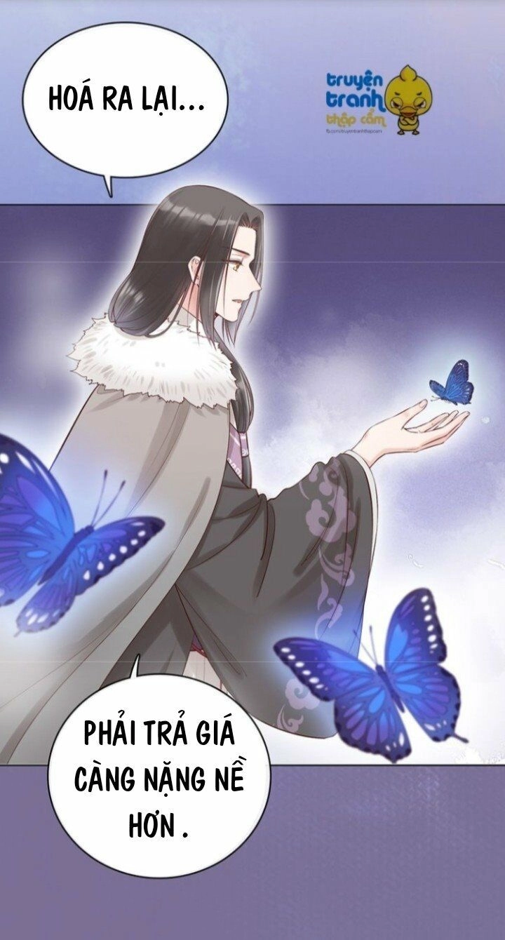 Mỹ Nhân Già Rồi Chapter 20 - 36