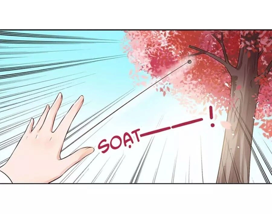 Mỹ Nhân Già Rồi Chapter 22 - 33