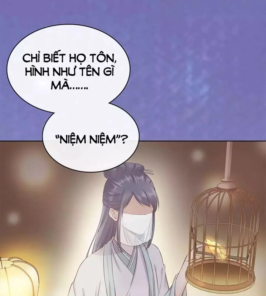 Mỹ Nhân Già Rồi Chapter 23 - 71