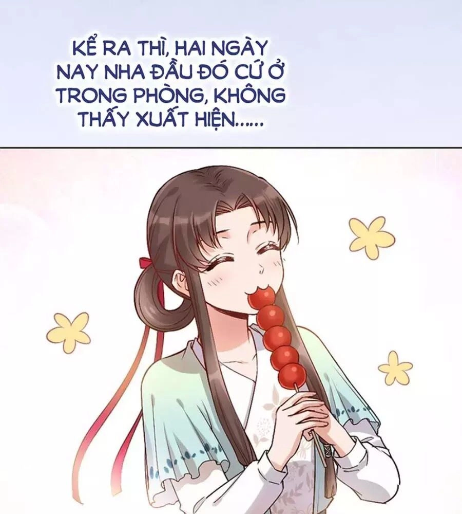 Mỹ Nhân Già Rồi Chapter 24 - 34