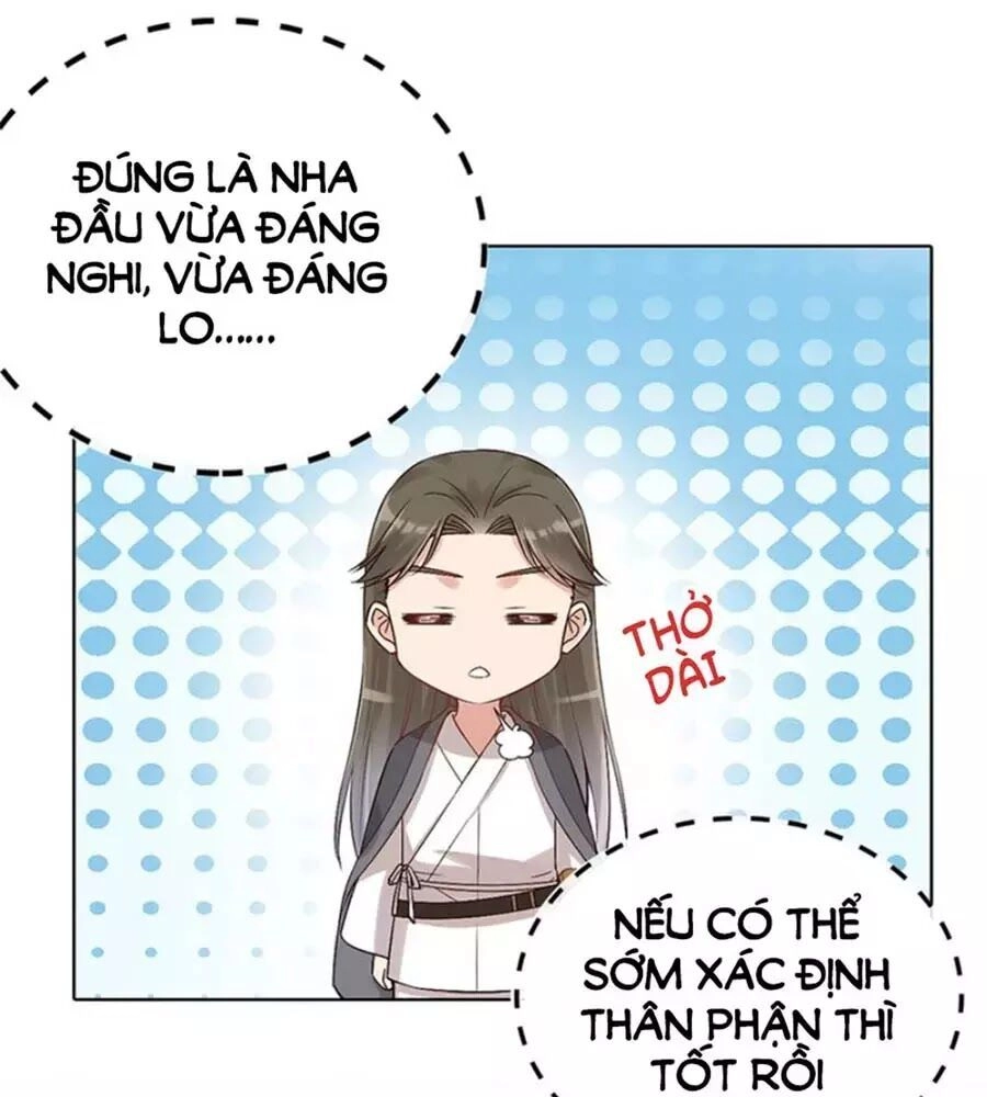 Mỹ Nhân Già Rồi Chapter 24 - 37