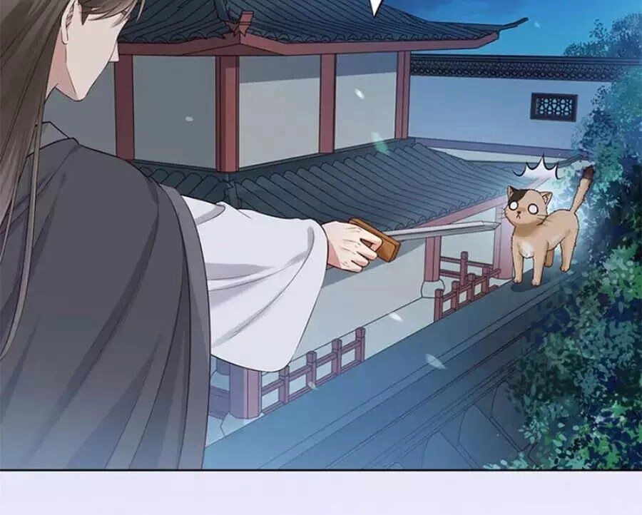 Mỹ Nhân Già Rồi Chapter 24 - 51