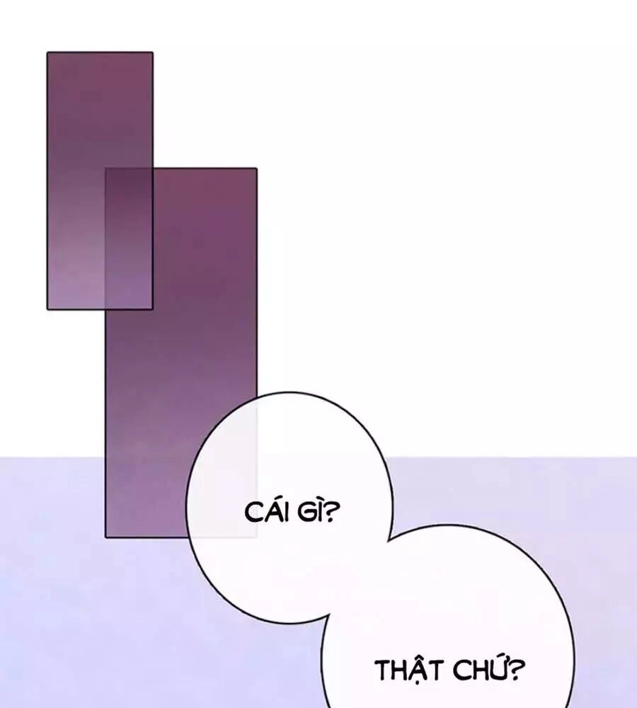 Mỹ Nhân Già Rồi Chapter 30 - 1