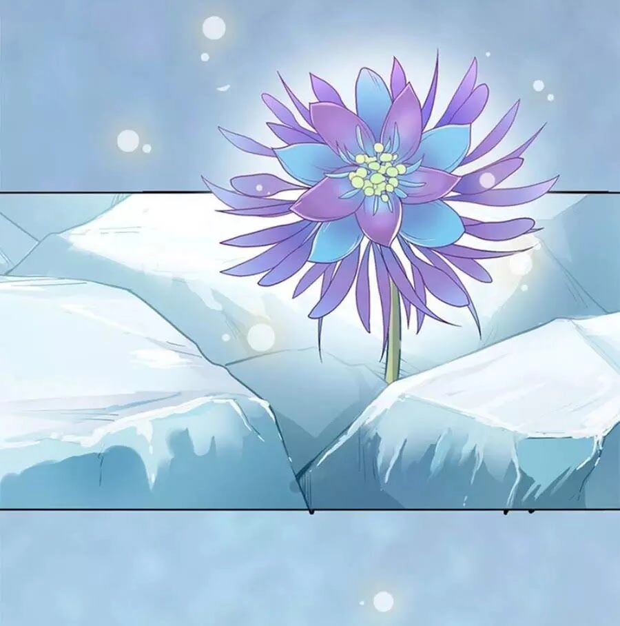 Mỹ Nhân Già Rồi Chapter 30 - 43