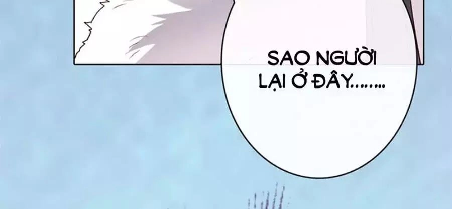 Mỹ Nhân Già Rồi Chapter 30 - 67