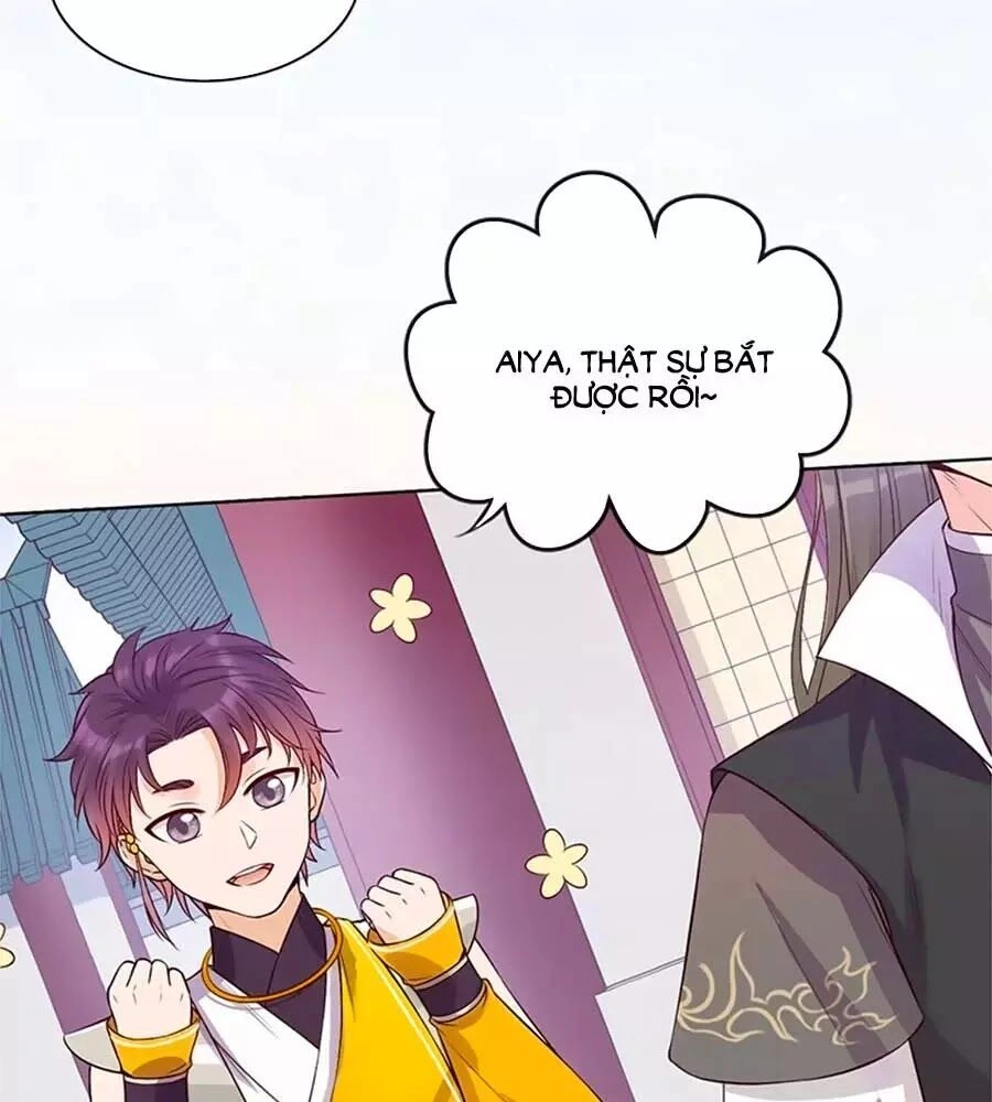 Mỹ Nhân Già Rồi Chapter 31 - 43