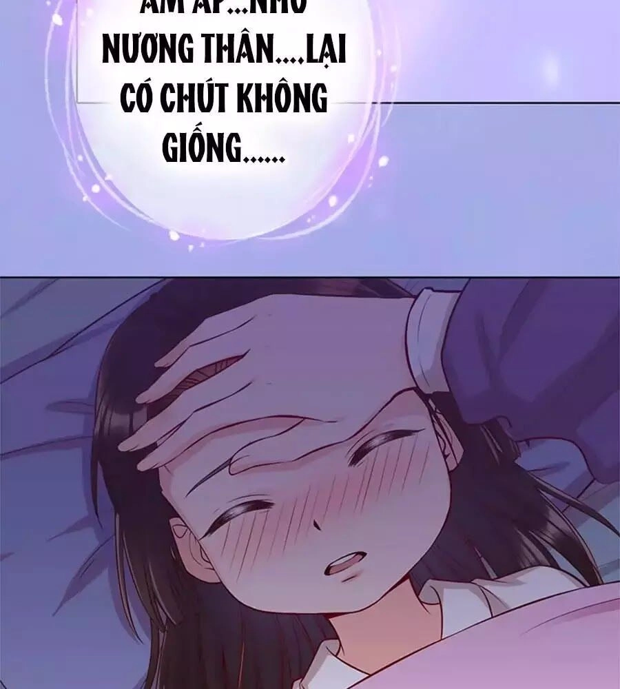 Mỹ Nhân Già Rồi Chapter 36 - 41