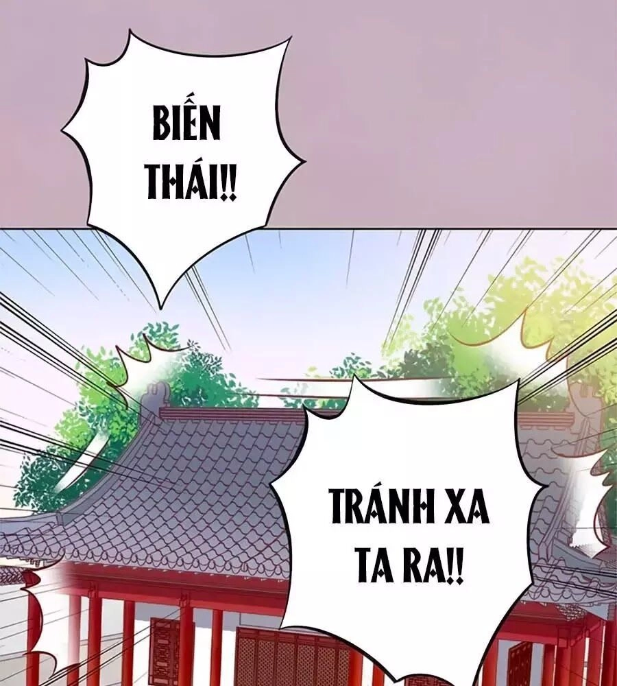 Mỹ Nhân Già Rồi Chapter 36 - 49