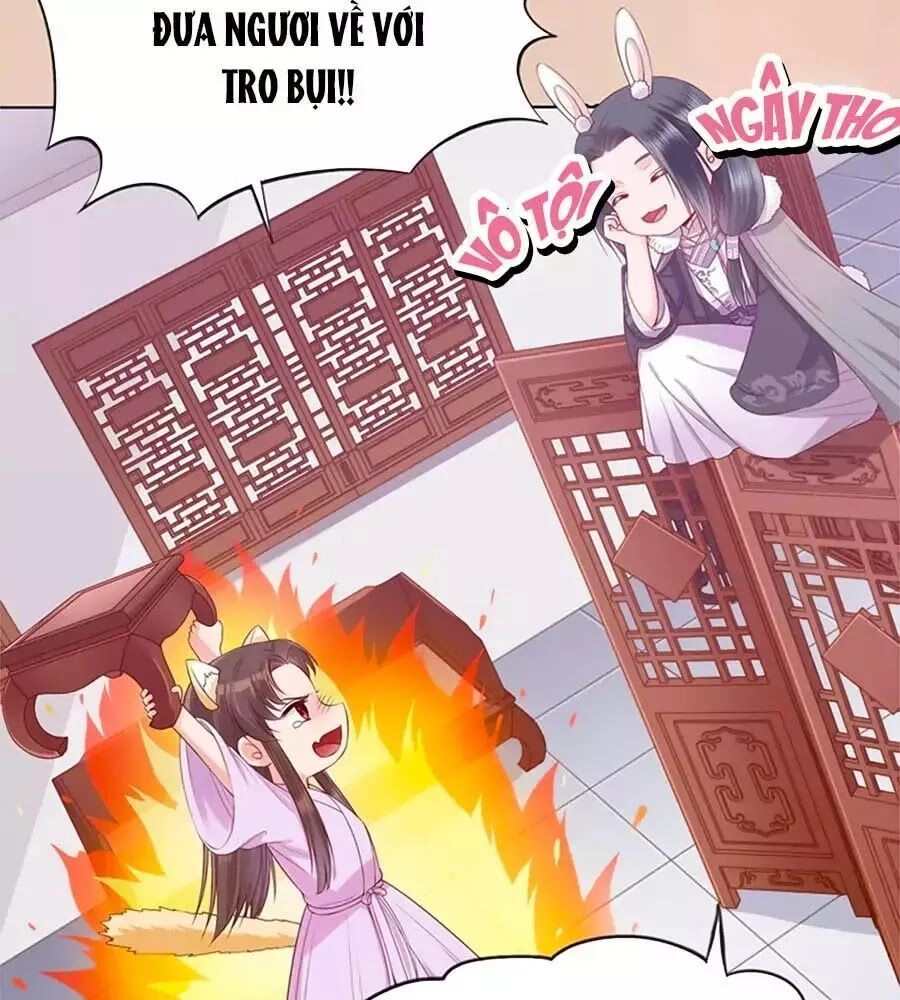 Mỹ Nhân Già Rồi Chapter 36 - 80