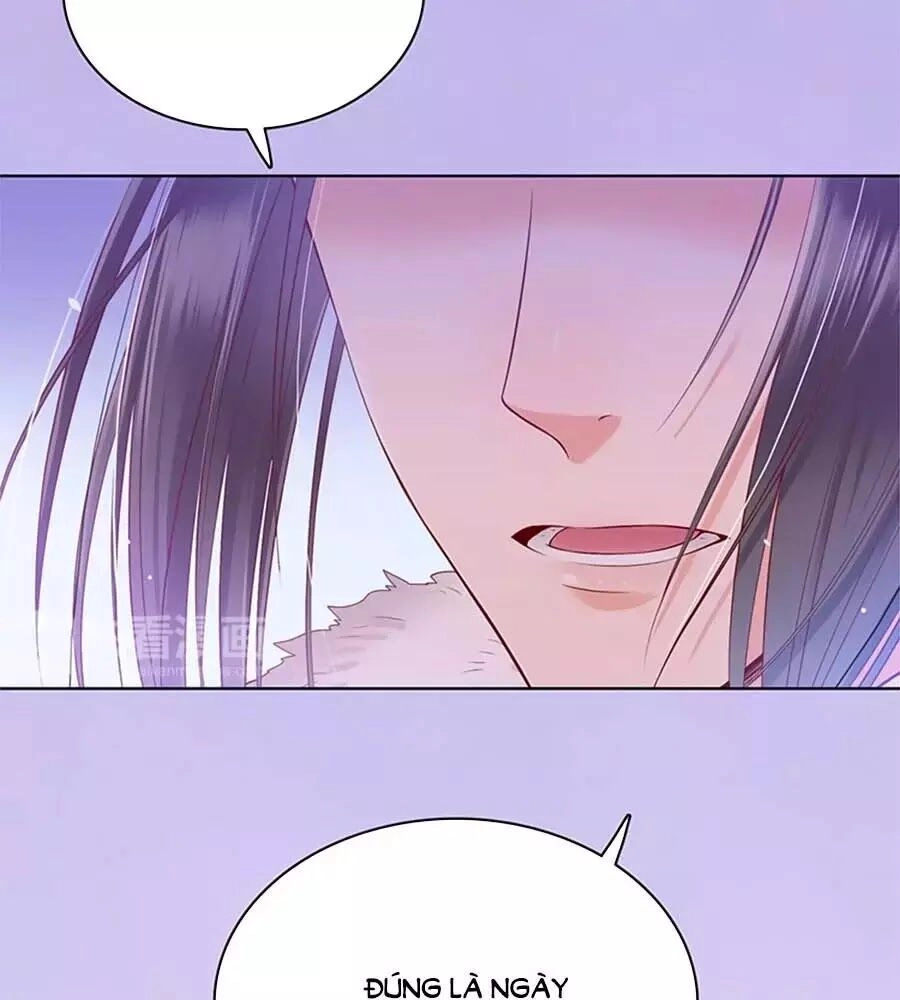 Mỹ Nhân Già Rồi Chapter 36 - 101