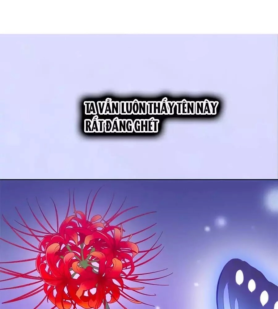 Mỹ Nhân Già Rồi Chapter 37 - 1