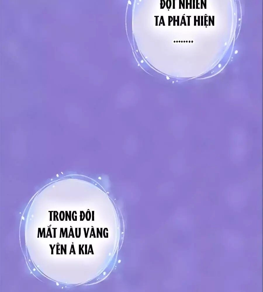 Mỹ Nhân Già Rồi Chapter 37 - 7