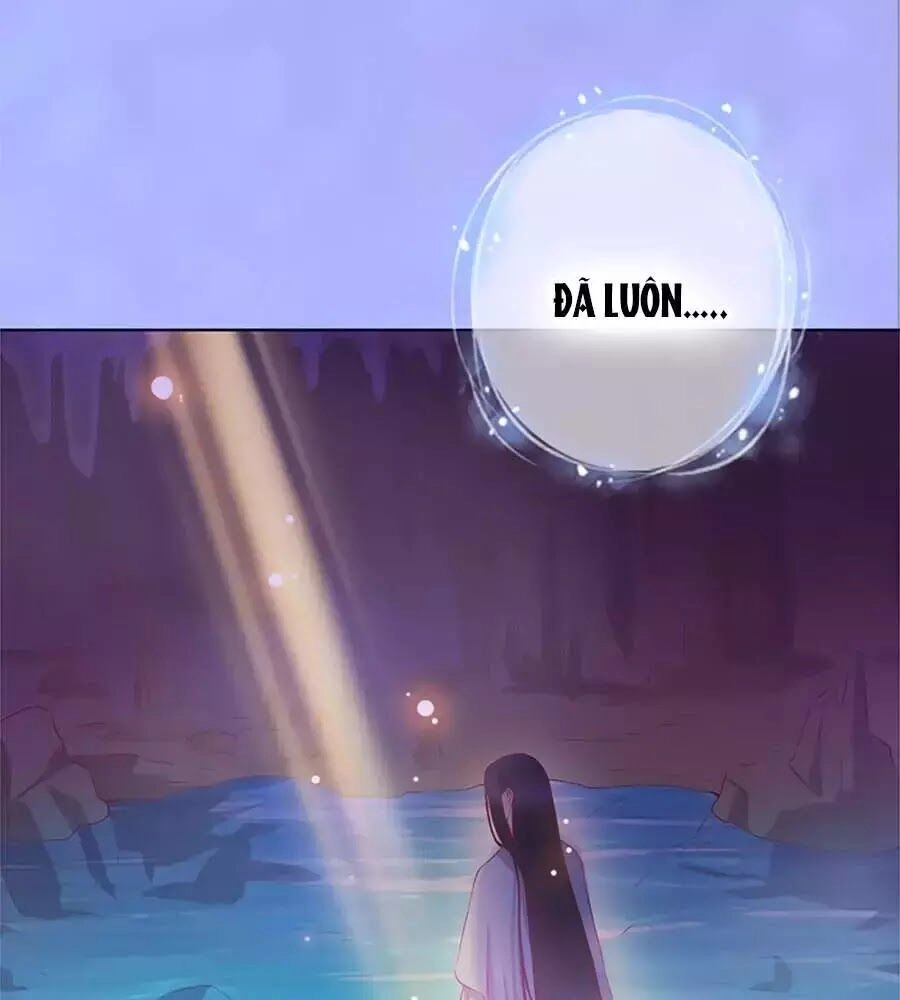 Mỹ Nhân Già Rồi Chapter 37 - 11