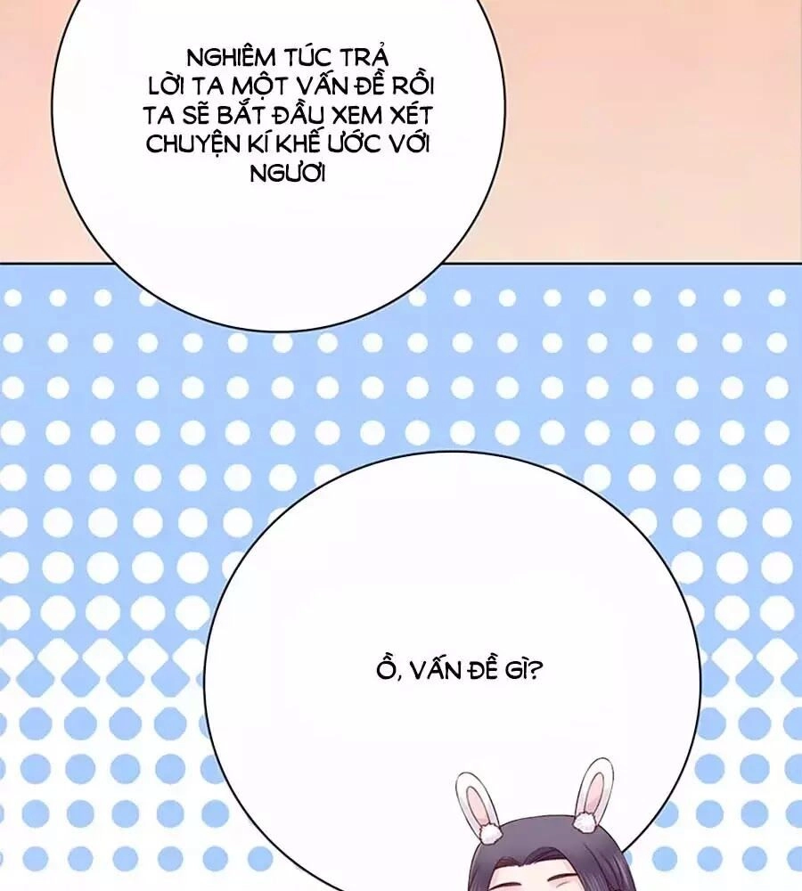 Mỹ Nhân Già Rồi Chapter 37 - 42