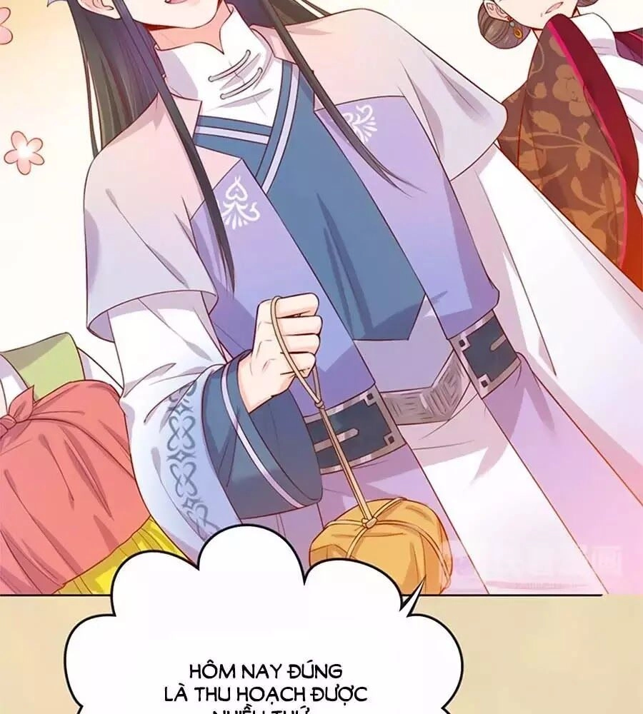 Mỹ Nhân Già Rồi Chapter 37 - 51