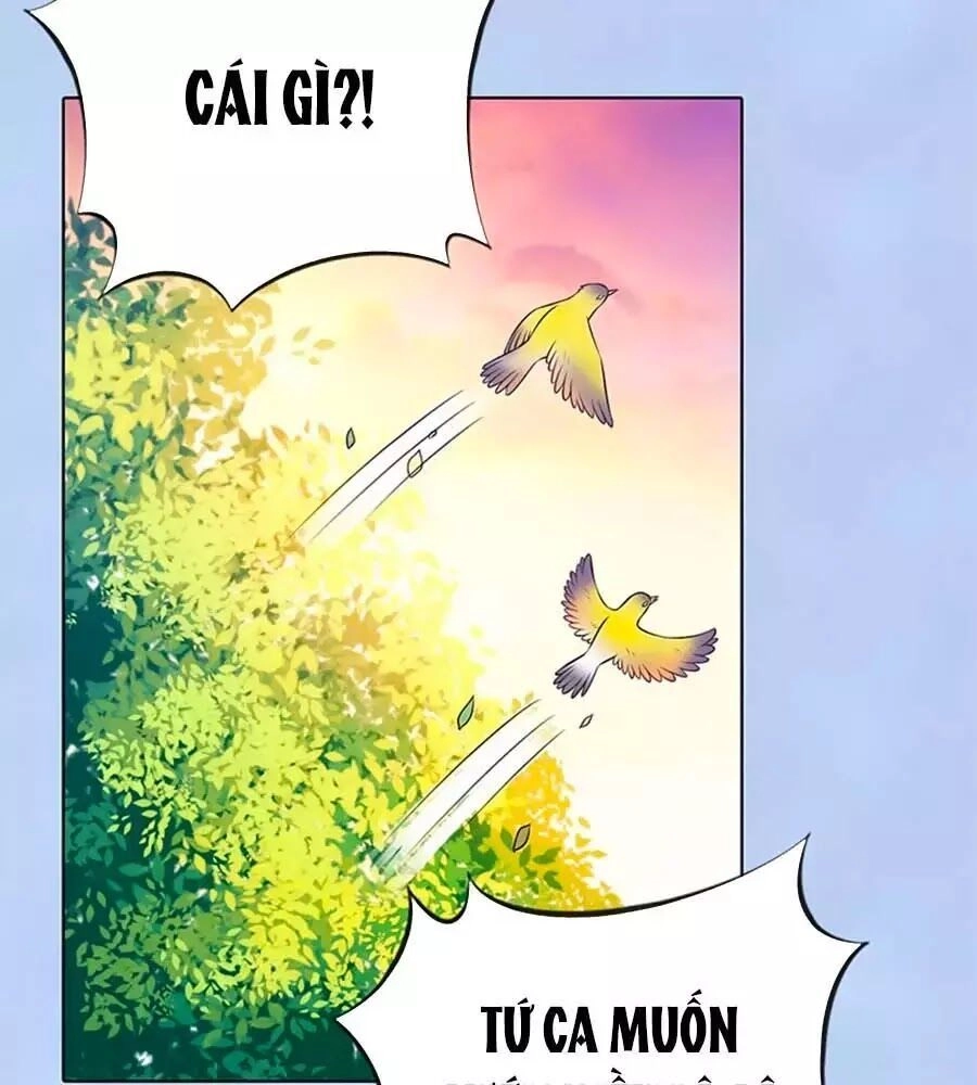 Mỹ Nhân Già Rồi Chapter 38 - 48