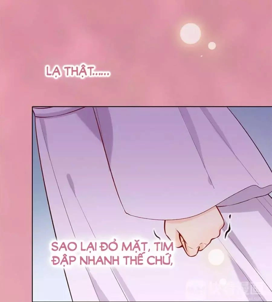 Mỹ Nhân Già Rồi Chapter 41 - 77