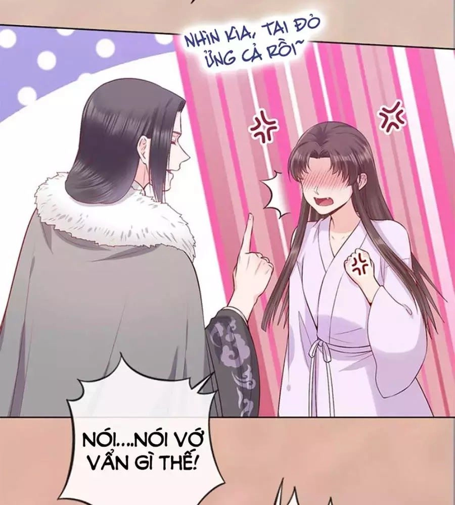 Mỹ Nhân Già Rồi Chapter 41 - 84