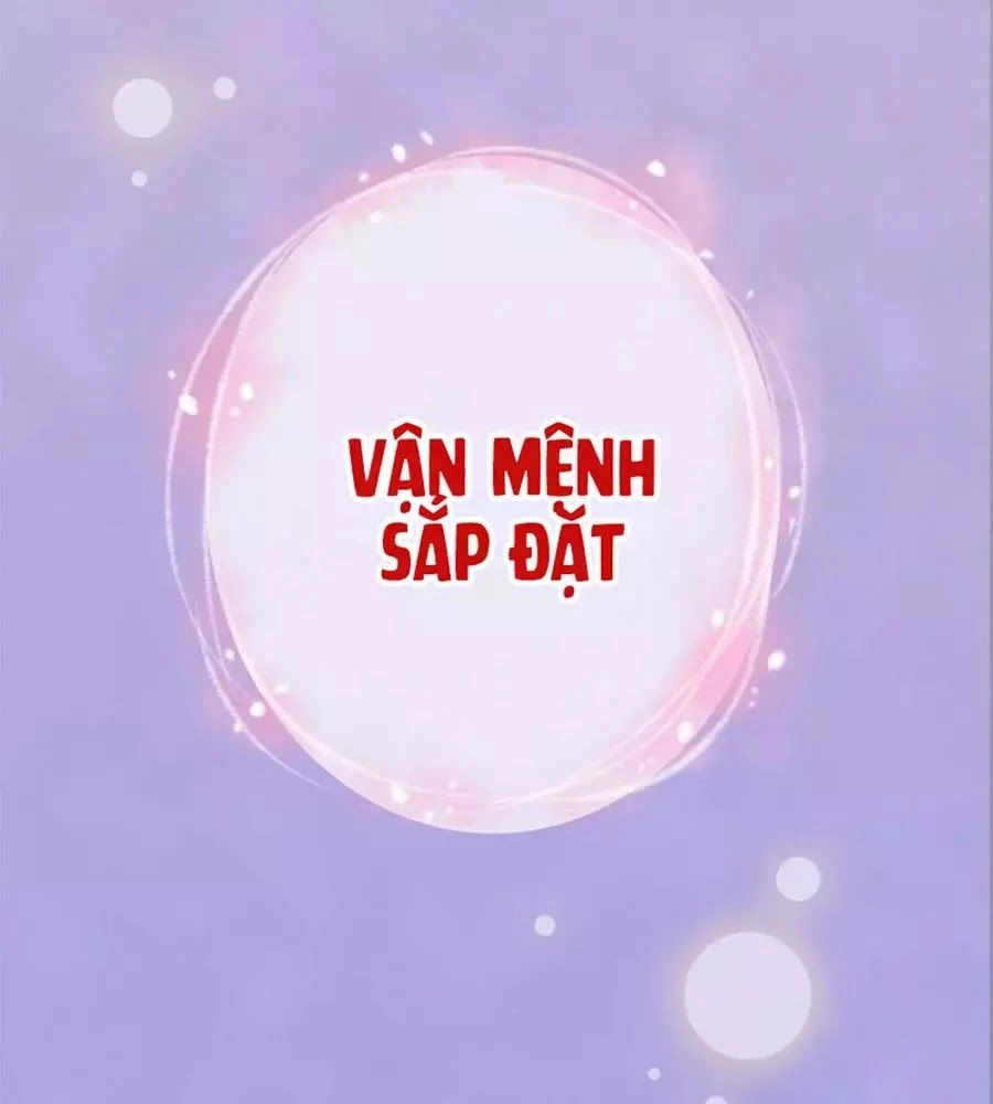 Mỹ Nhân Già Rồi Chapter 42 - 33