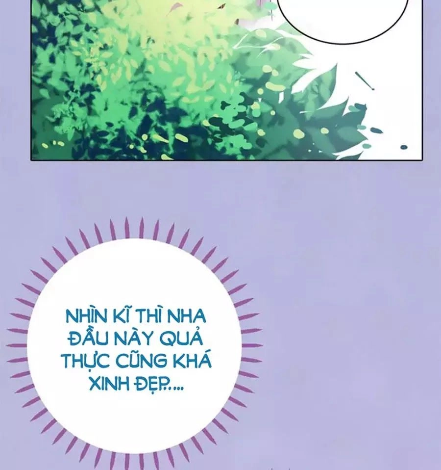 Mỹ Nhân Già Rồi Chapter 42 - 84