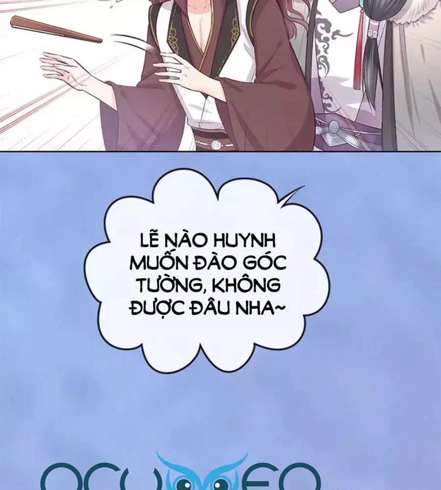 Mỹ Nhân Già Rồi Chapter 42 - 95