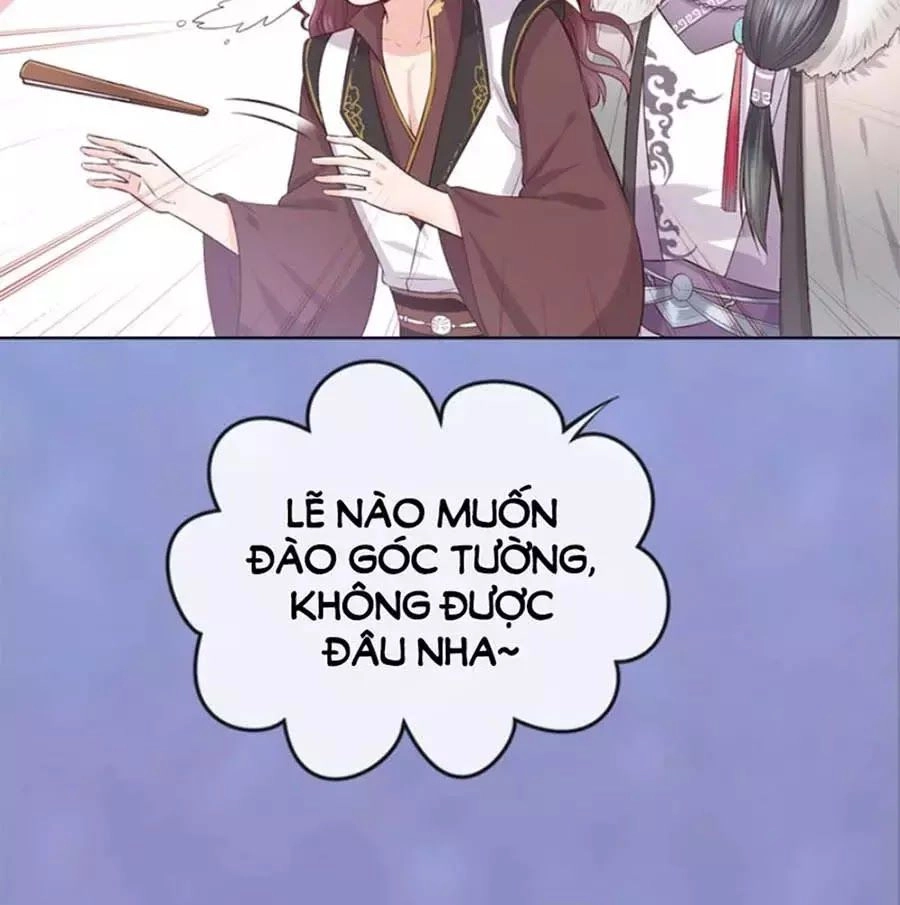 Mỹ Nhân Già Rồi Chapter 43 - 8