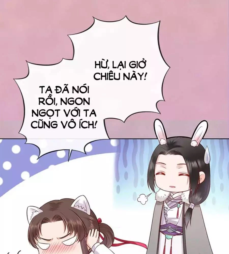 Mỹ Nhân Già Rồi Chapter 43 - 67