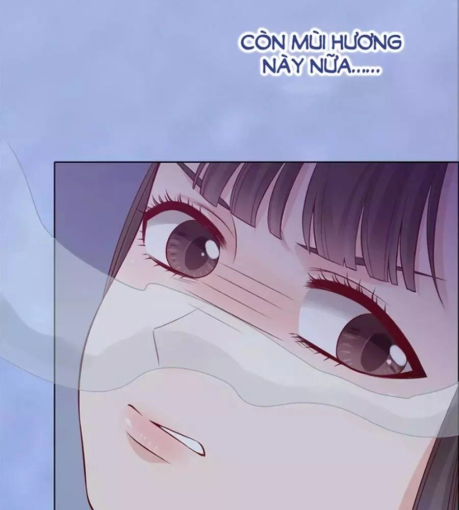 Mỹ Nhân Già Rồi Chapter 45 - 43