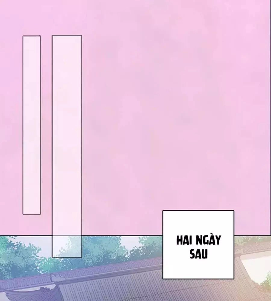 Mỹ Nhân Già Rồi Chapter 49 - 47