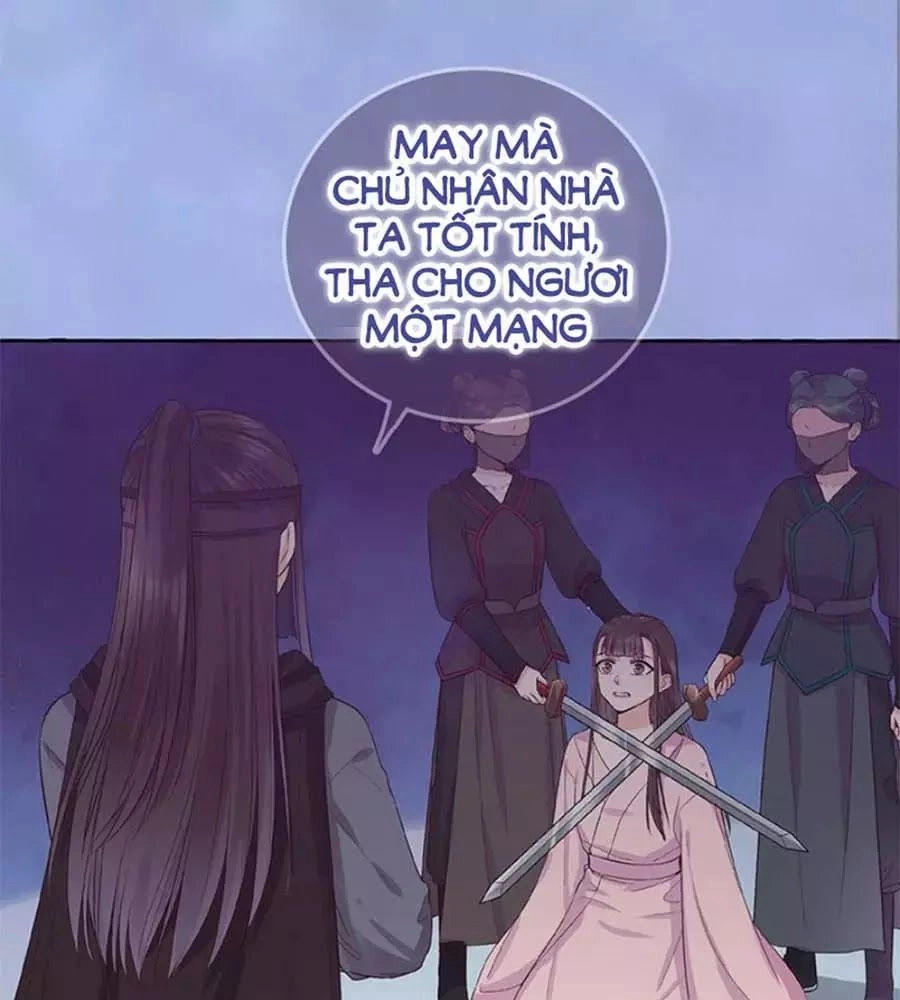 Mỹ Nhân Già Rồi Chapter 51 - 90