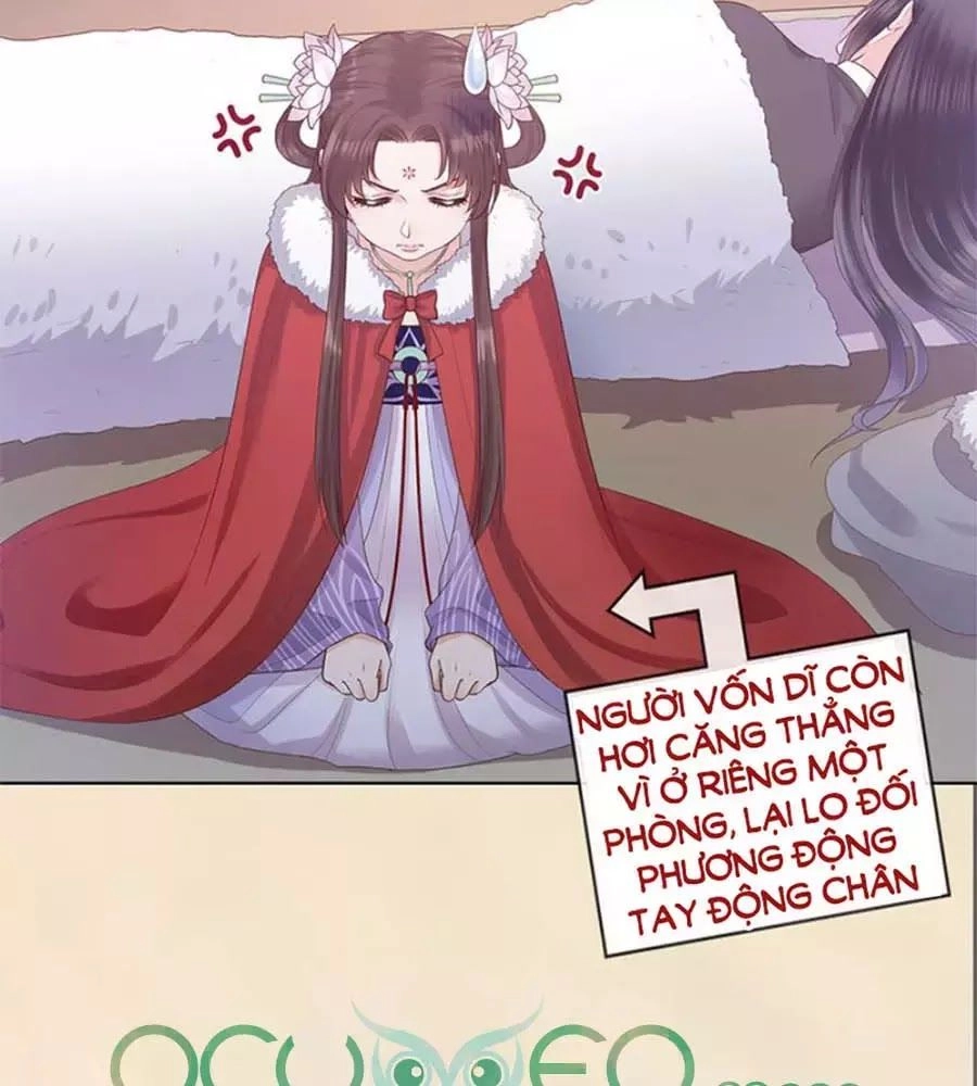 Mỹ Nhân Già Rồi Chapter 52 - 69